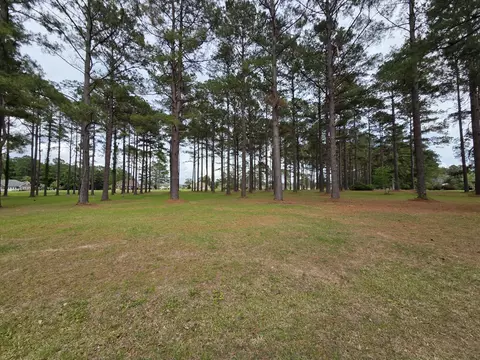 402 Pinelake Ct, Manning, SC 29102