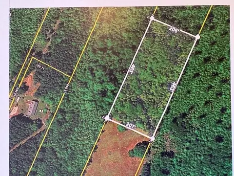 0 Youngs Rd, Eutawville, SC 29048