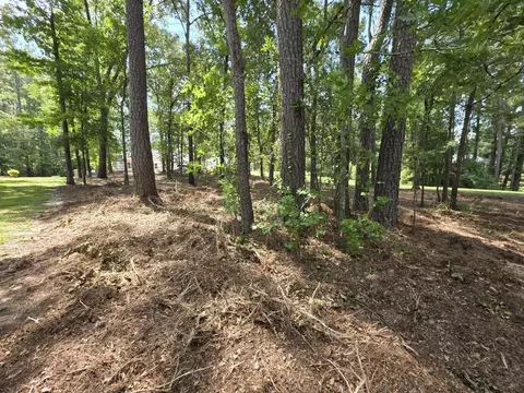 620 Plantation Dr, Santee, SC 29142 photo 9