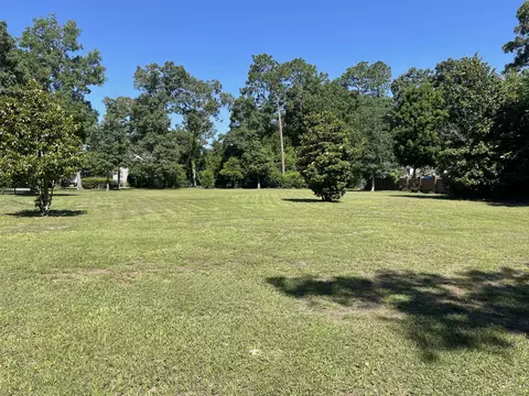 590 Canvasback Cv Cv, Sumter, SC 29150 photo 11