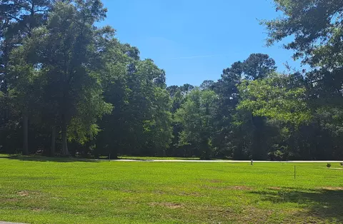 01 Santee Dr, Santee, SC 29142