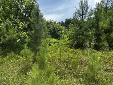 4400 Livingwood Ln, Sumter, SC 29154