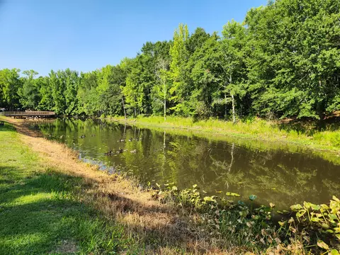 tbd Community St, Sumter, SC 29150 photo 3
