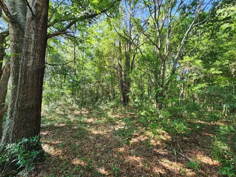 tbd Community St, Sumter, SC 29150 photo 5