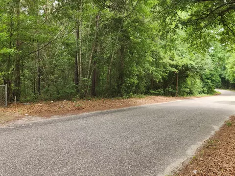 tbd Community St, Sumter, SC 29150