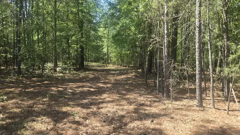415 Pearson Rd, Sumter, SC 29150
