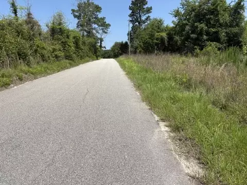 tbd Boston Wells Rd, Alcolu, SC 29001