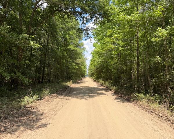 0 Toney Bay Rd, Holly Hill, SC 29059
