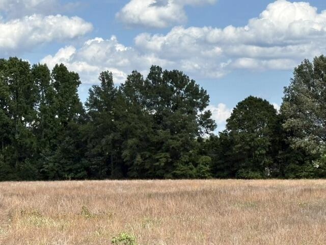 tbd Liberty Hill Rd, Summerton, SC 29148