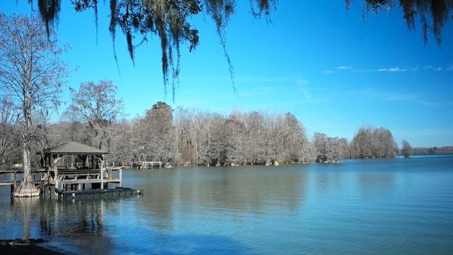 1036 Mulligan Dr, Manning, SC 29102