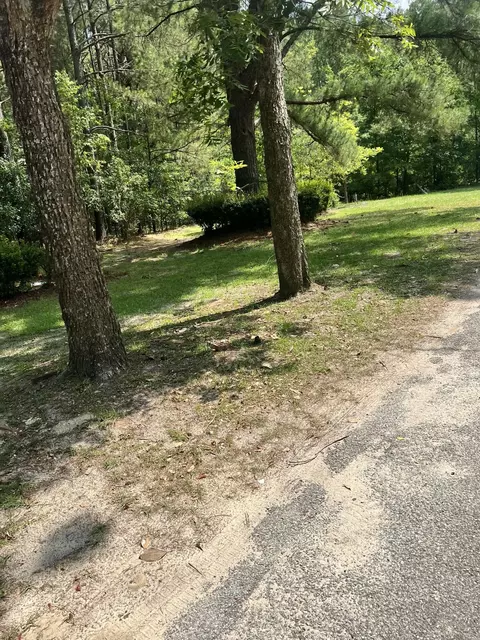 653 Loring Mill Rd, Sumter, SC 29150 photo 5