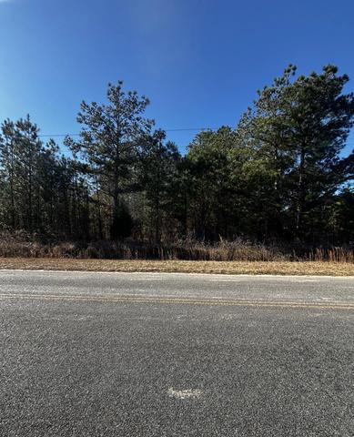 5805 Rooster Cir, Pinewood, SC 29125