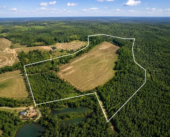 2003 Driggers Ln, Manning, SC 29102