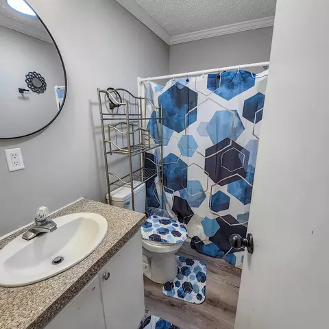 1105 Peacock St, Manning, SC 29102 photo 12