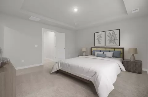 Bedroom - 3228 Zeppelin Ln, Sumter, SC 29154 photo 12 of 12