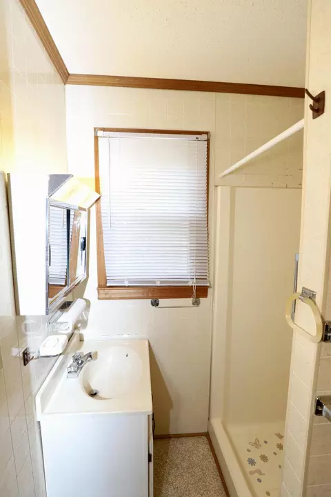 Bath - 114 Vernon Dr, Sumter, SC 29150 photo 4 of 5