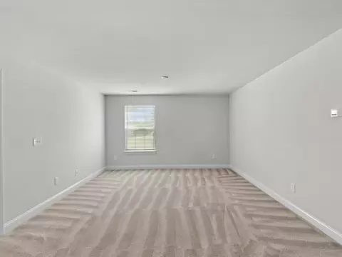 Other - 1134 Beechfern Cir, Elgin, SC 29045 photo 4 of 8
