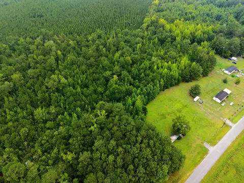 tbd Cummings Rd, Manning, SC 29102 photo 2