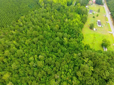 tbd Cummings Rd, Manning, SC 29102 photo 3