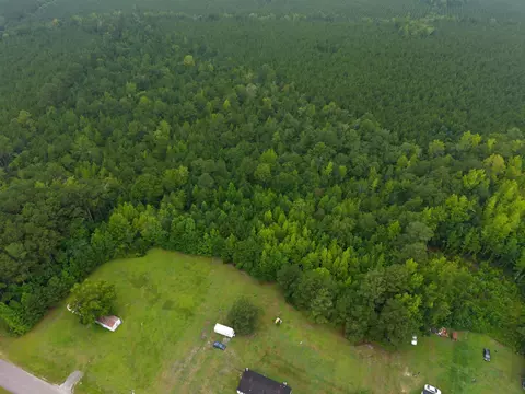 tbd Cummings Rd, Manning, SC 29102 photo 5