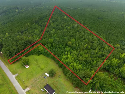 tbd Cummings Rd, Manning, SC 29102 photo 7