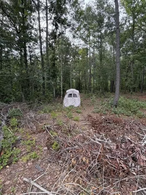 Other - 3649 Cox Rd, Sumter, SC 29154 photo 8 of 14