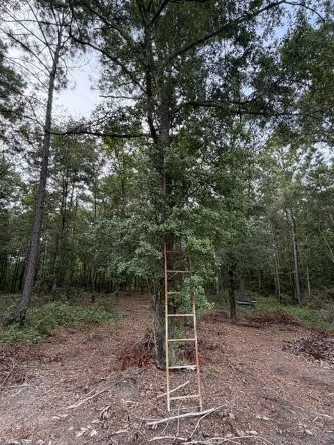 Other - 3649 Cox Rd, Sumter, SC 29154 photo 9 of 14