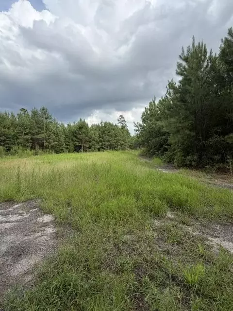 Other - 3649 Cox Rd, Sumter, SC 29154 photo 11 of 14