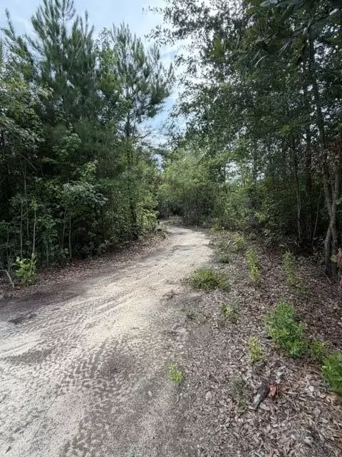 Other - 3649 Cox Rd, Sumter, SC 29154 photo 14 of 14