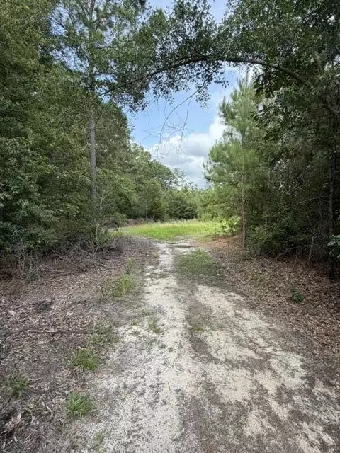 Other - 3649 Cox Rd, Sumter, SC 29154 photo 13 of 14