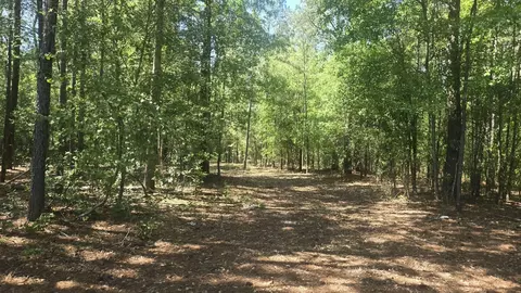 415 Pearson Rd, Sumter, SC 29150 photo 4