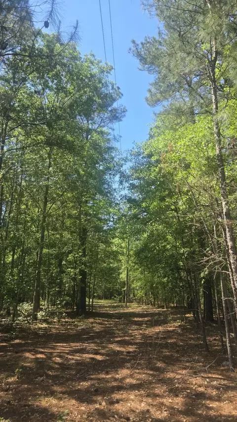 415 Pearson Rd, Sumter, SC 29150 photo 2