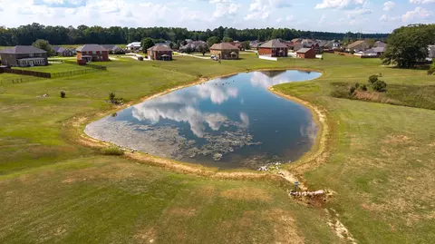 View/Area - 3565 Katwallace Cir, Sumter, SC 29154 photo 12 of 16
