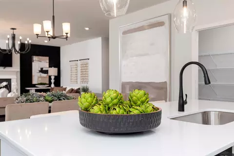 Kitchen - 3220 Zeppelin Ln, Sumter, SC 29154 photo 10 of 11