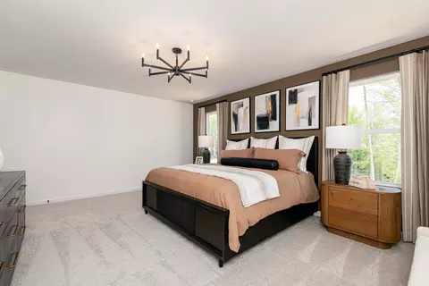 Bedroom - 3220 Zeppelin Ln, Sumter, SC 29154 photo 18 of 19