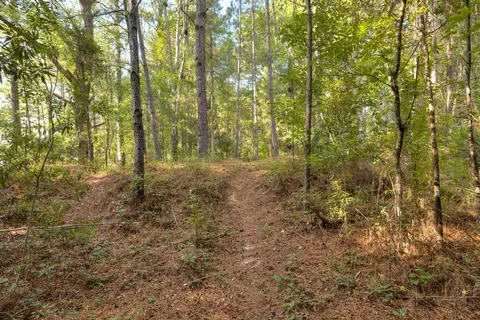 Other - 3055 Lowerlake Dr, Sumter, SC 29150 photo 18 of 18