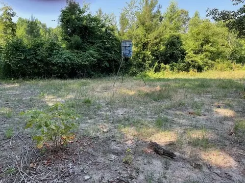 0 Old River Rd, Elloree, SC 29047 photo 3