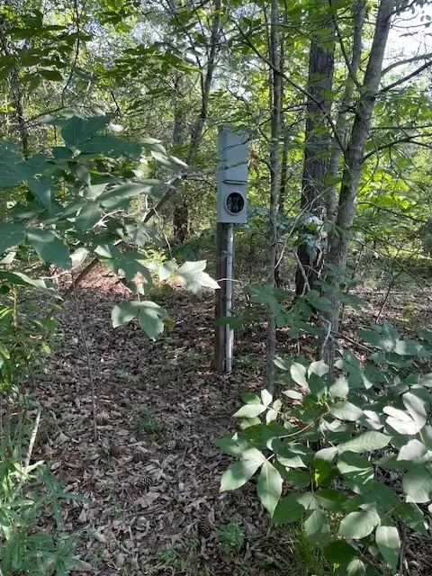 0 Old River Rd, Elloree, SC 29047 photo 5
