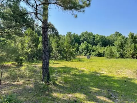 0 Old River Rd, Elloree, SC 29047 photo 2