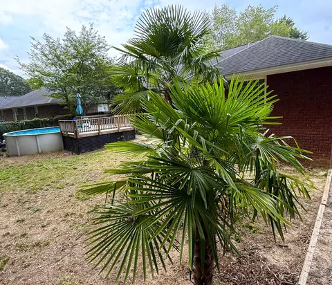 Exterior - 3185 Foxcroft Cir, Sumter, SC 29154 photo 16 of 16