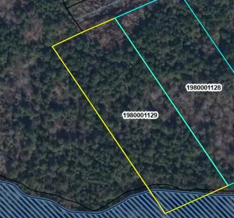 1750 Elder Ln, Sumter, SC 29153 photo 3