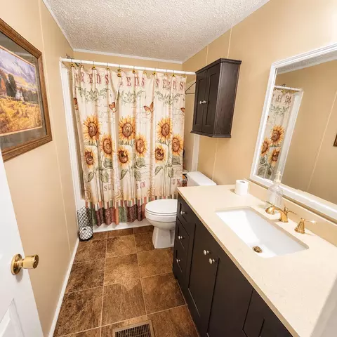 Bath - 1078 Sullivan Dr, Manning, SC 29102 photo 1 of 1