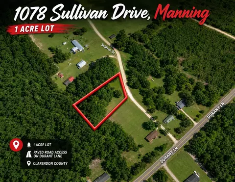 View/Area - 1078 Sullivan Dr, Manning, SC 29102 photo 1 of 2