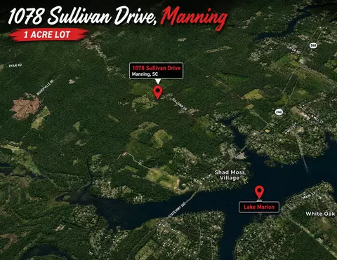 View/Area - 1078 Sullivan Dr, Manning, SC 29102 photo 2 of 2