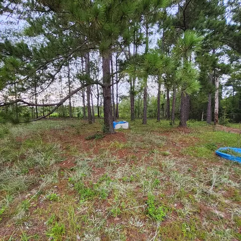 Exterior - 1078 Sullivan Dr, Manning, SC 29102 photo 1 of 2