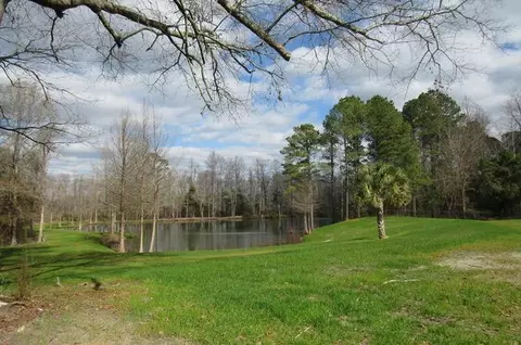 View/Area - 1217 E Brewington Rd, Sumter, SC 29153 photo 1 of 1