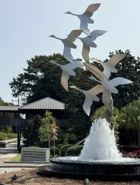 Other - 2007 Bellagio Dr, Sumter, SC 29153 photo 3 of 5