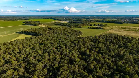 0000 Peach Orchard Rd, Rembert, SC 29128