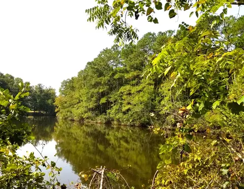 lot6 Row Boat Lane Row Boat Ln, Elloree, SC 29047 photo 6