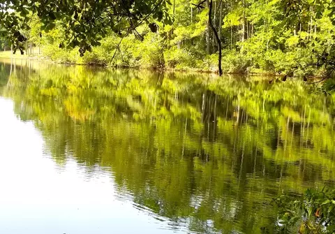 lot6 Row Boat Lane Row Boat Ln, Elloree, SC 29047 photo 3